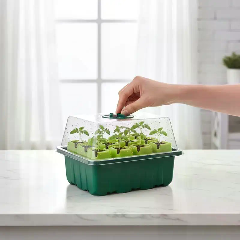 Dome Propagation Kit - Set di 1 vassoio per la