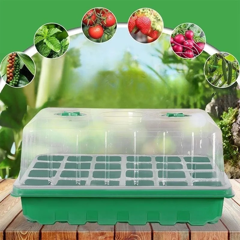 Dome Propagation Kit - Kit Vassoio per Semina da 1/5