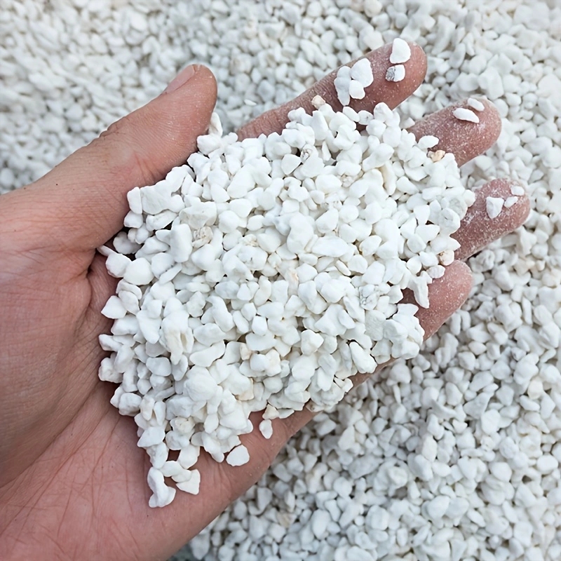 Horticulture Soil Perlite - Confezione da 1 Pezzo di Perlite
