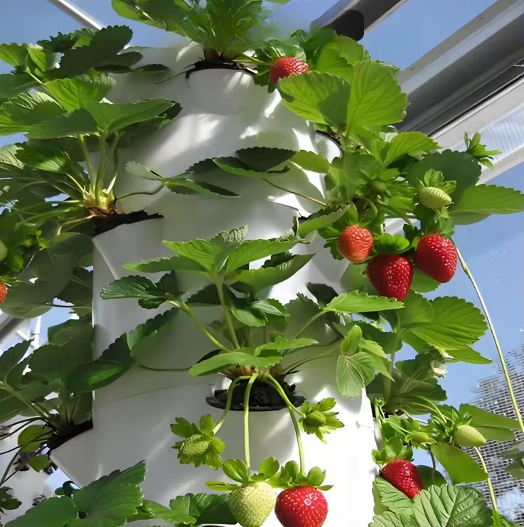 Sistema modulare idroponico a  - Urban Farming Wall recensione e prezzo
