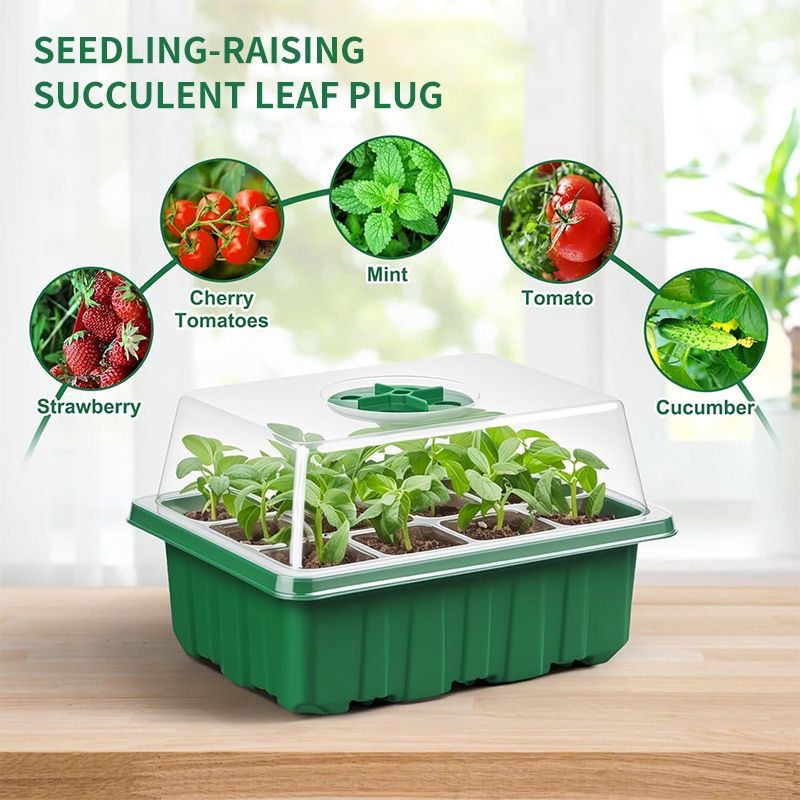 Kit di Germinazione con Vassoi - Dome Propagation Kit recensione e prezzo