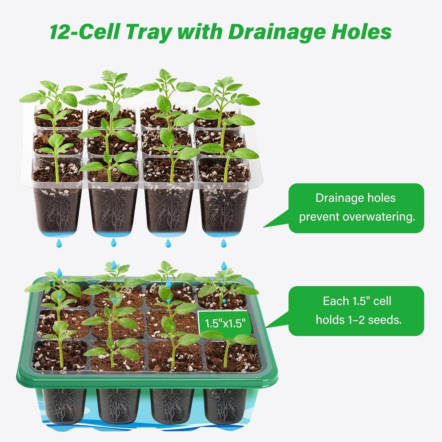 Kit di Germinazione con 6/12 S - Dome Propagation Kit recensione e prezzo