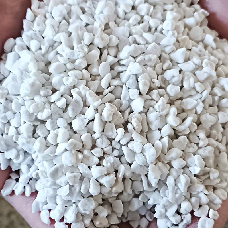 1 Confezione di Perlite Ortico - Horticulture Soil Perlite recensione e prezzo