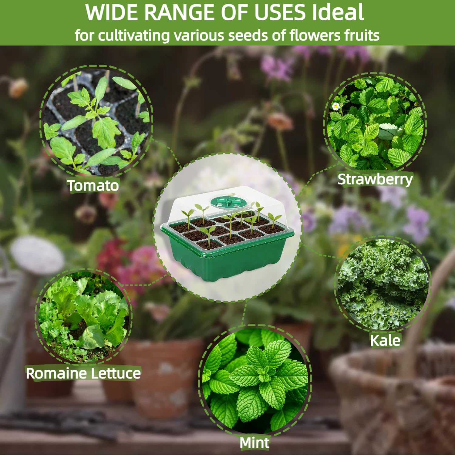 Kit di Germinazione con 10 Vas - Dome Propagation Kit recensione e prezzo