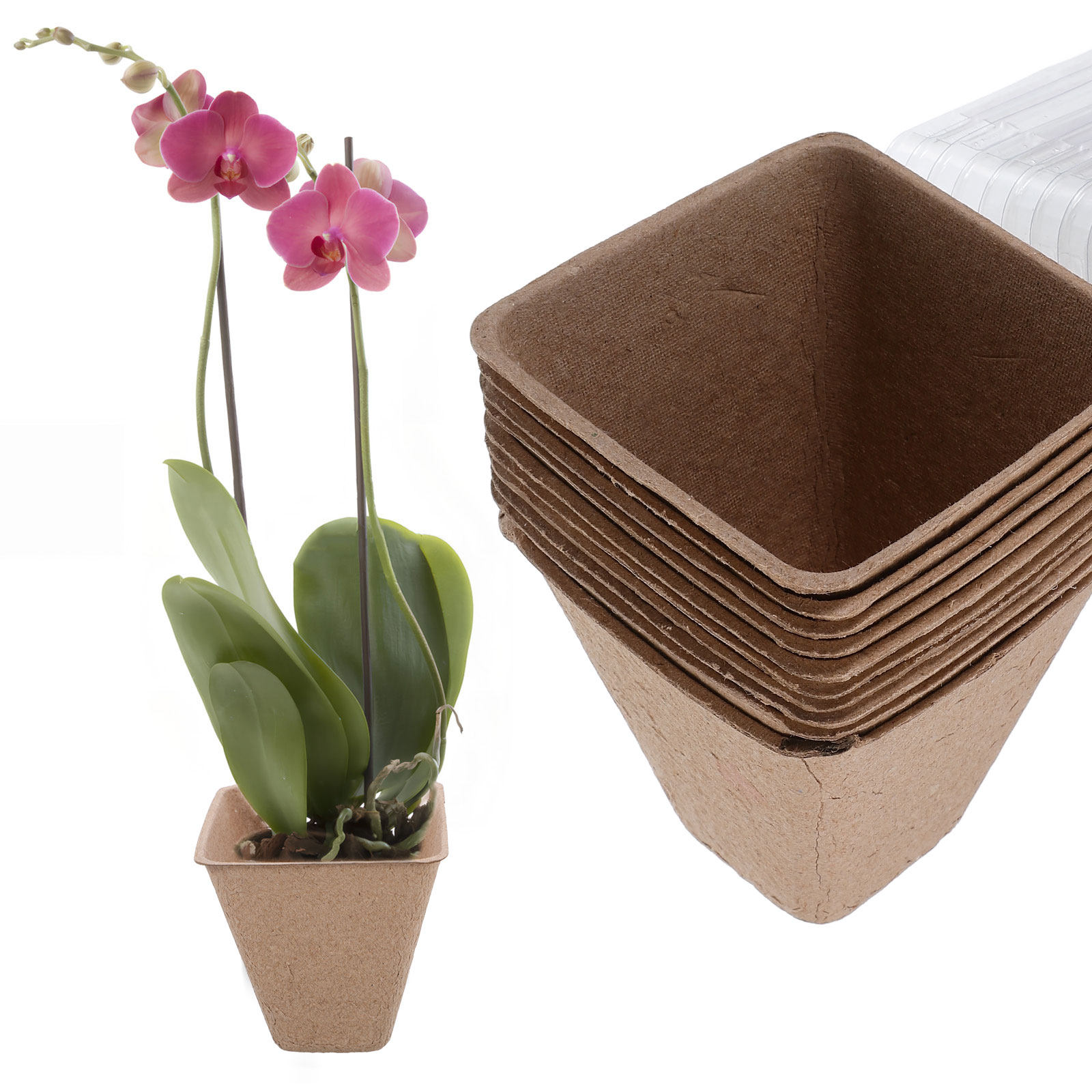 Kit di 10 Vasi Biodegradabili  - Dome Propagation Kit recensione e prezzo
