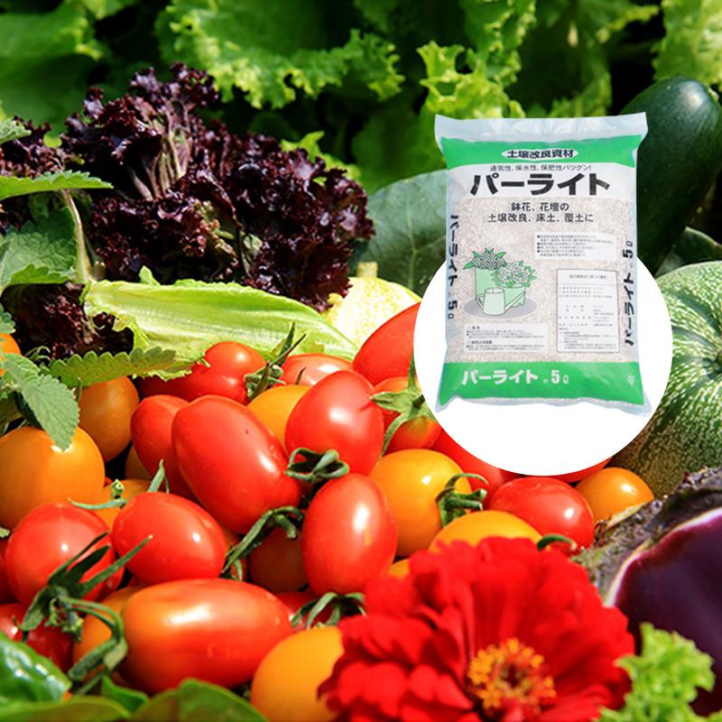 Perlite sfusa per giardinaggio - Horticulture Soil Perlite recensione e prezzo